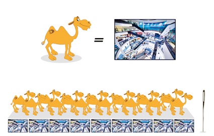 Das Kamel steht für ein Bild – für einen Video-Stream müsste also gleich...