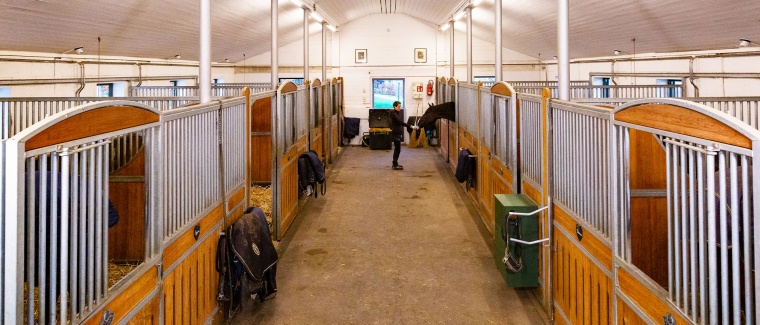 ...einschließlich Paddock, Privathaus und Einblick in den Stall sowie jede...