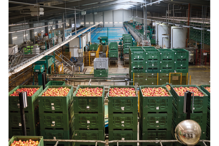 Der BayWa Obstgroßmarkt in Kressbronn ist Hauptproduktionsstandort für...