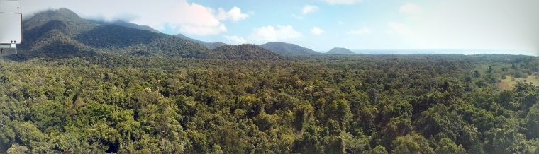 View of Daintree forrest credit Nigel Sim