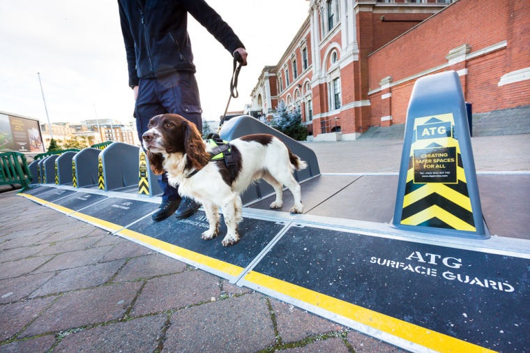 Wagtail on the alert - a sniffer dog outside the exhibition hall at Olympia