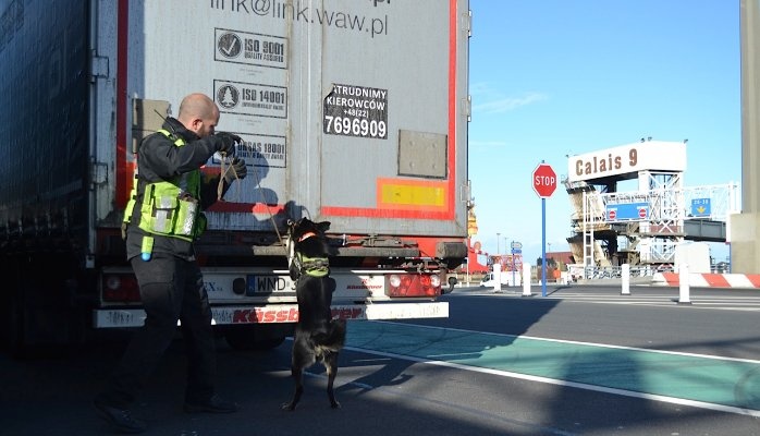 A Wagtail sniffer dog is on the scent of illegal immigrants at Calais
