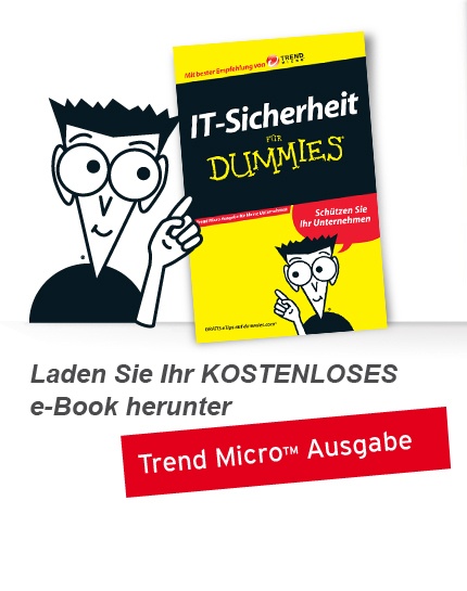 IT-Security for Dummies