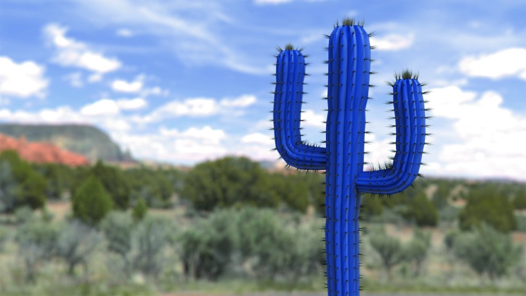 Cactus Concept für ganzheitlichen Schutz von Mobotix-Produkten vor drohenden...