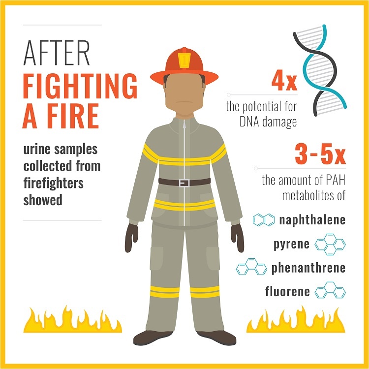 Firefighters absorb harmful chemicals through skin, study finds