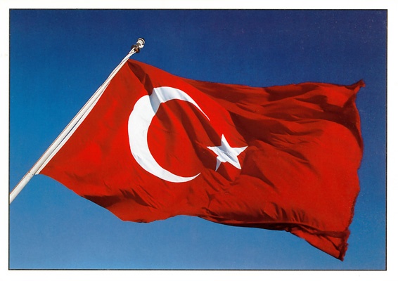Market Report: The Turkish Fire and Security Market 2009/2010