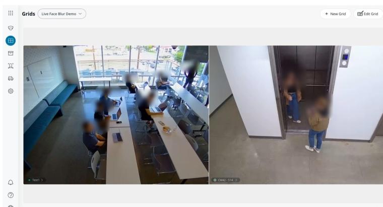 Live face blur detects and blurs faces in the live video feed