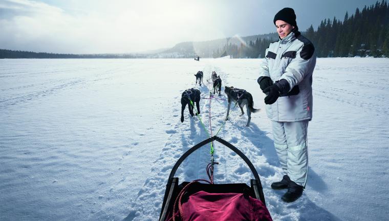 Hundeschlitten auf verschneiter Landschaft, mehrere Schlittenhunde sind vor...