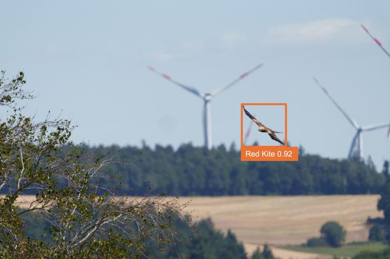 Das Aves Wind Antikollisionssystem kann derzeit 20 geschützte Vogelarten...
